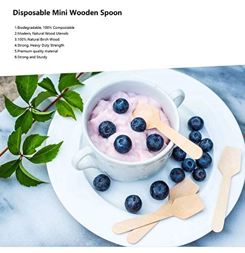 Disposable Wooden Spoon Square end 95 mm (Belcha) | Mini Taster Spoon | Ice Cream Spoon | Pastry | Eco Friendly and bio degradable