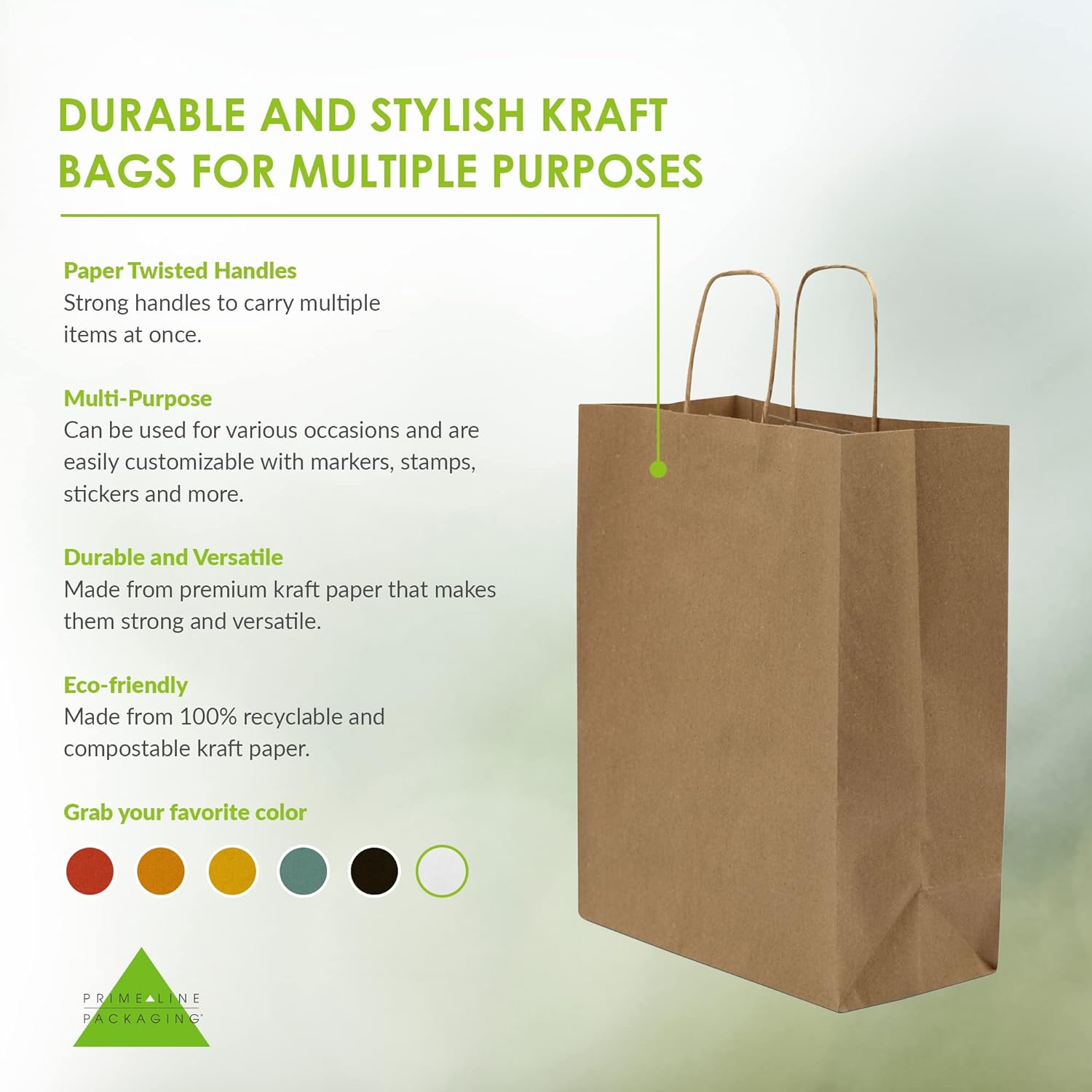 Brown Kraft Paper Gift Bags with Handles | Khaana Packaging
