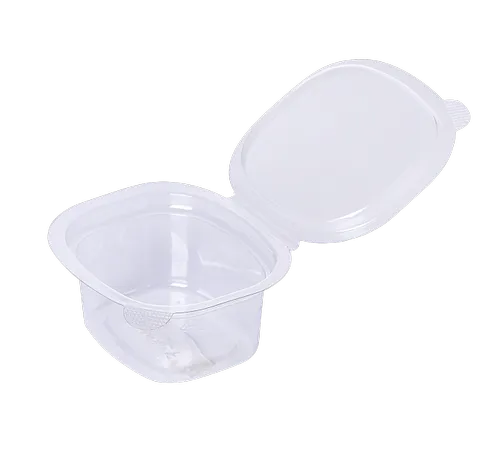 Plastic Airtight Sauce Dip Containers