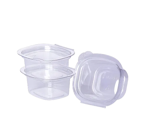 Plastic Airtight Sauce Dip Containers